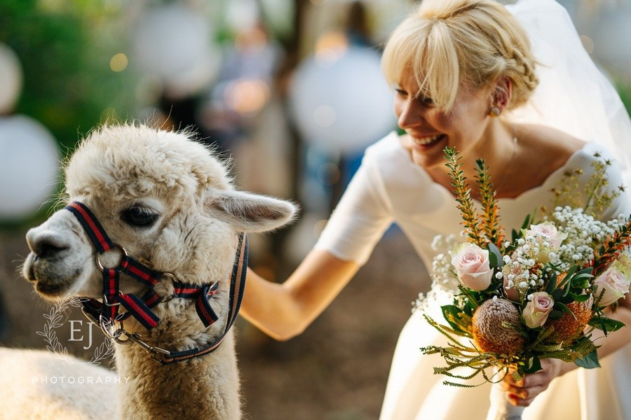 Nora & Jim — Perth City Farm. Emma Joy Photography