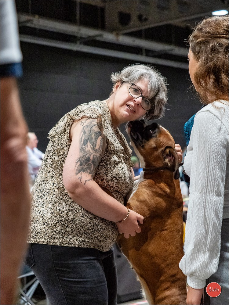 🇱🇺 LUXEMBOURG 🇱🇺 International Dog Show 🇱🇺 30/08 - 31/08/2025. Photographe à Strasbourg | Portraits, Studio, Enfants, Événements