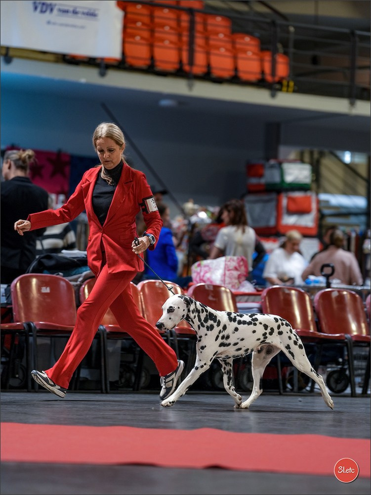 Expo canine 🇫🇷 Martigues 18-19/04/2026