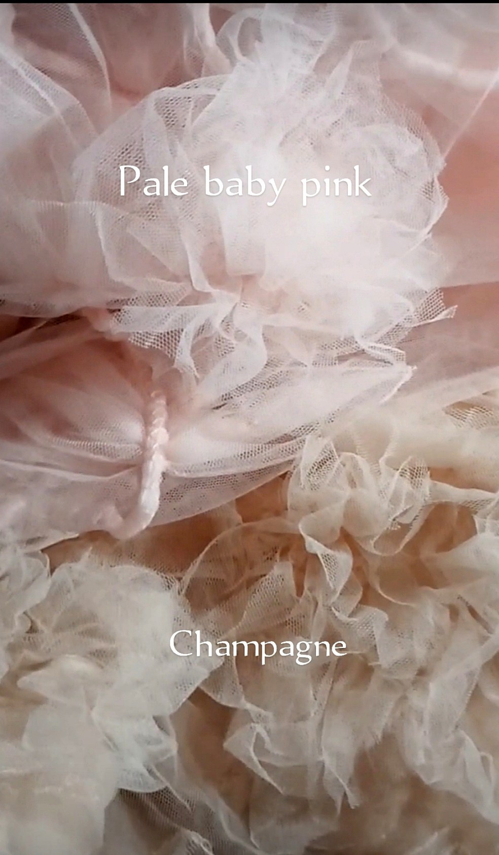 שמלה “Rosalia ". מרי ליב, מעצבת שמלות בתפירה אישית