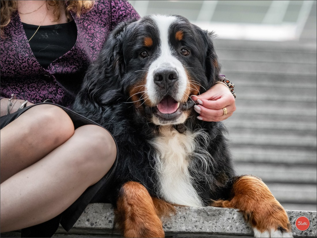 🇫🇮 WDS Helsinki 2025 🇫🇮. Photographe à Strasbourg | Portraits, Studio, Enfants, Événements