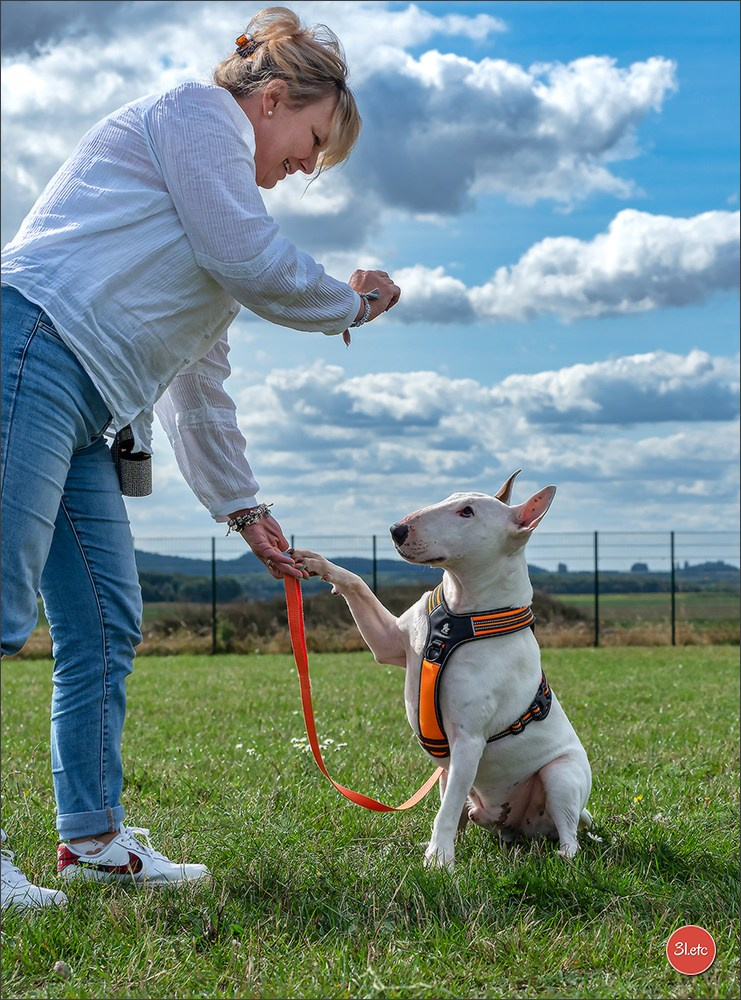 Exposition Canine à  Margny-lès-Compiègne 14-15/09/2024. Photographe à Strasbourg | Portraits, Studio, Enfants, Événements