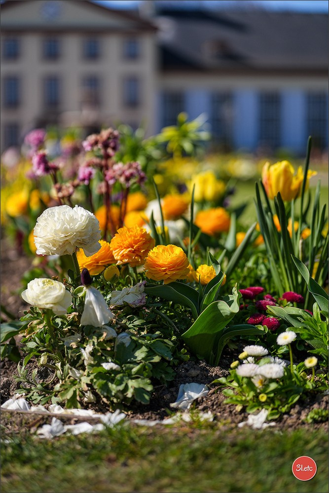 TEST ::: Sony Alpha 7 V (ILCE-7M5) 70-200mm f/2.8 GM II OSS. Photographe à Strasbourg | Portraits, Studio, Enfants, Événements
