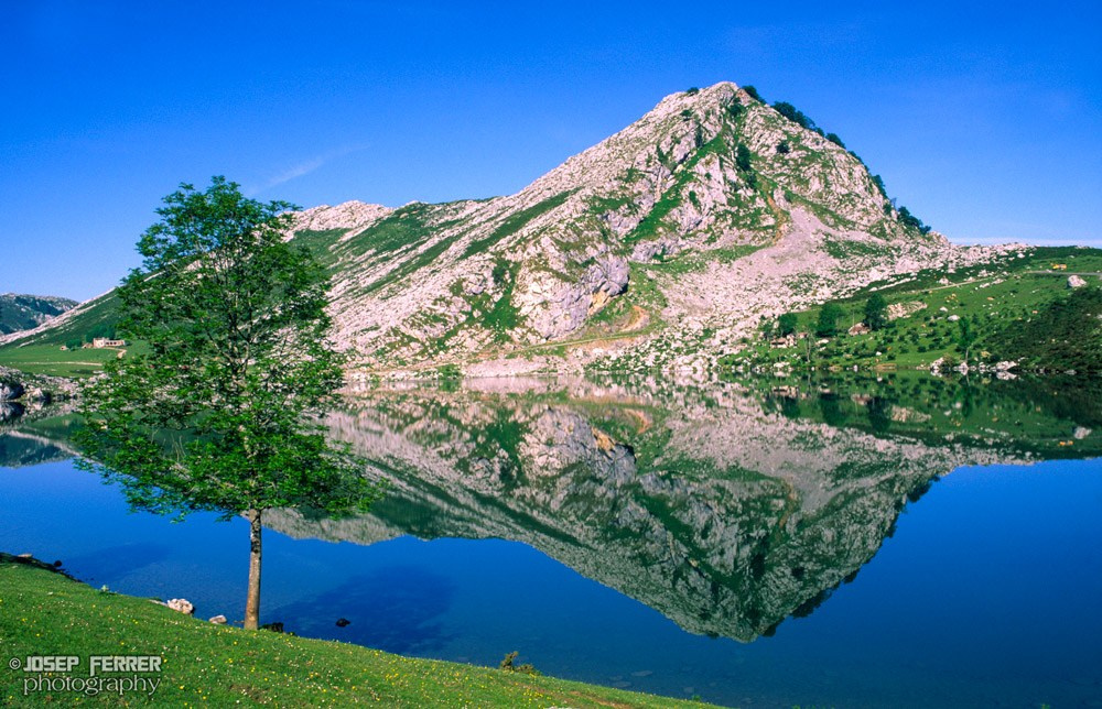 Enol lake, Picos de Europa national park, Asturias