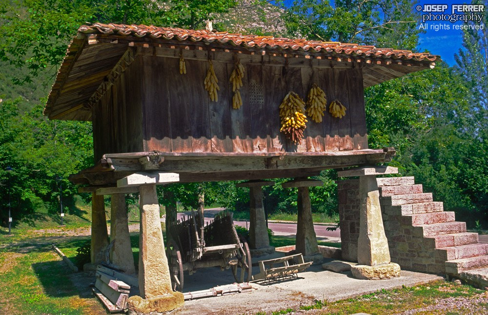 Granary, Picos de Europe National Park, Asturias