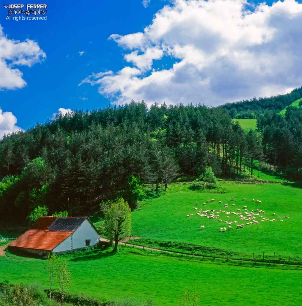 Farm, Pyrenees, Navarra