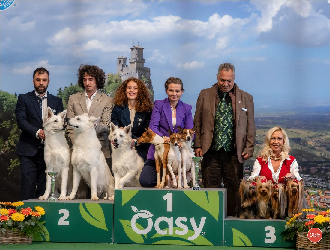 Dog Show  🇮🇹  San Marino. Photographe à Strasbourg | Portraits, Studio, Enfants, Événements