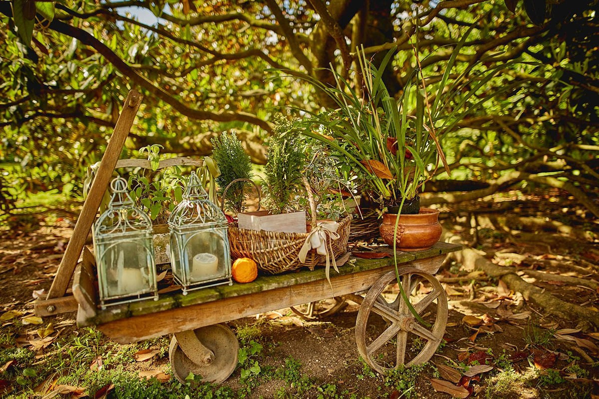 Brand Photography for Small Business