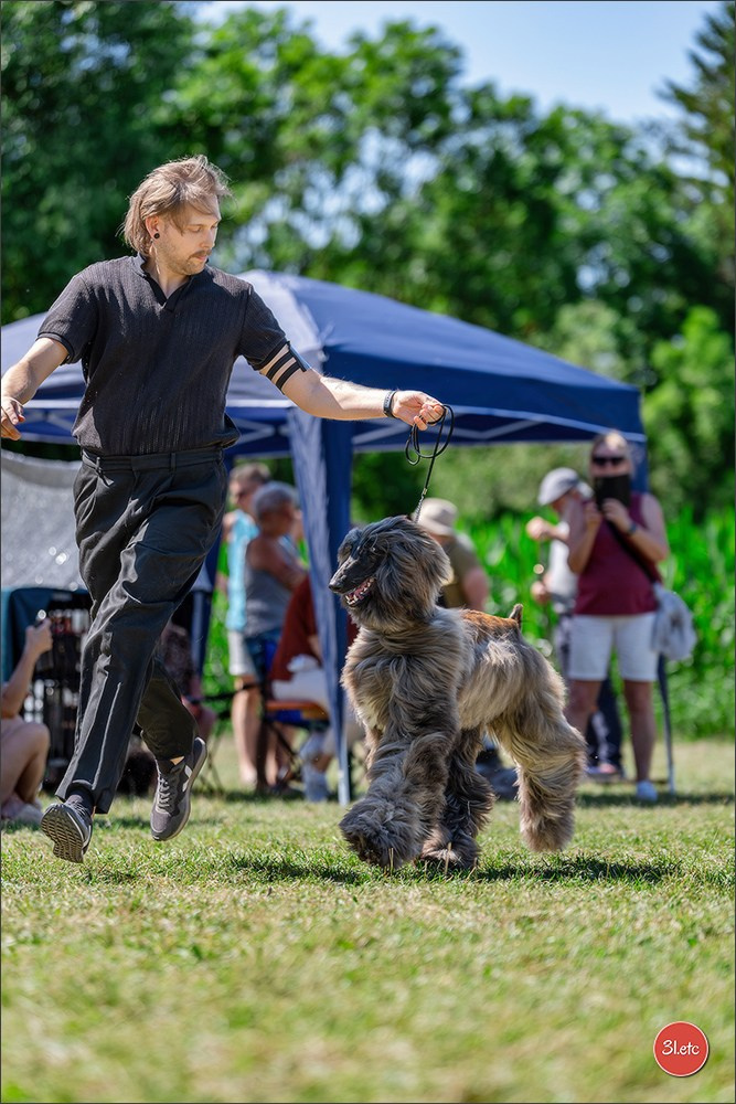 Dog Show - Hallbergmoos 🇩🇪 11-12/07/2026