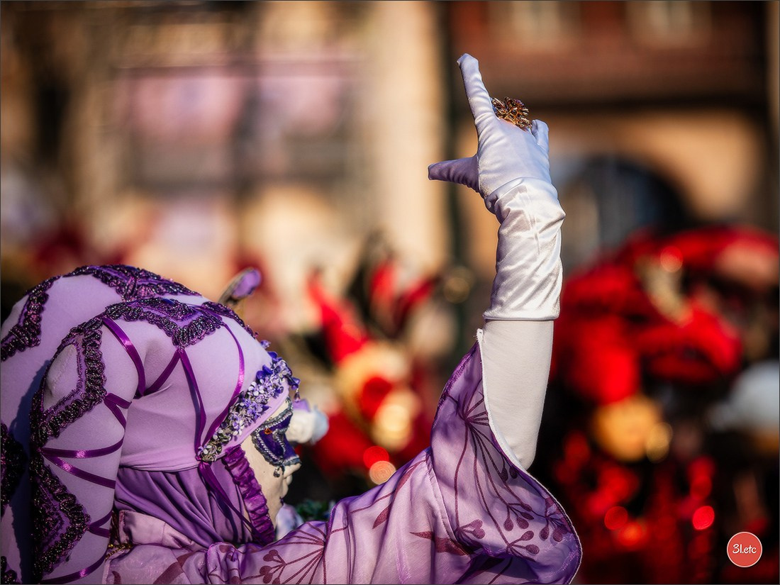 Carnaval vénitien de Rosheim 2026. Photographe à Strasbourg | Portraits, Studio, Enfants, Événements