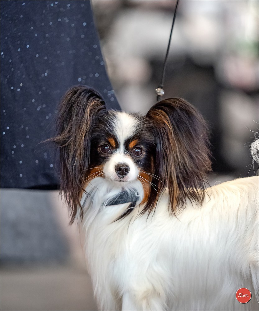 🇨🇭 Geneva 03-05.10.2025 🇨🇭. Photographe à Strasbourg | Portraits, Studio, Enfants, Événements