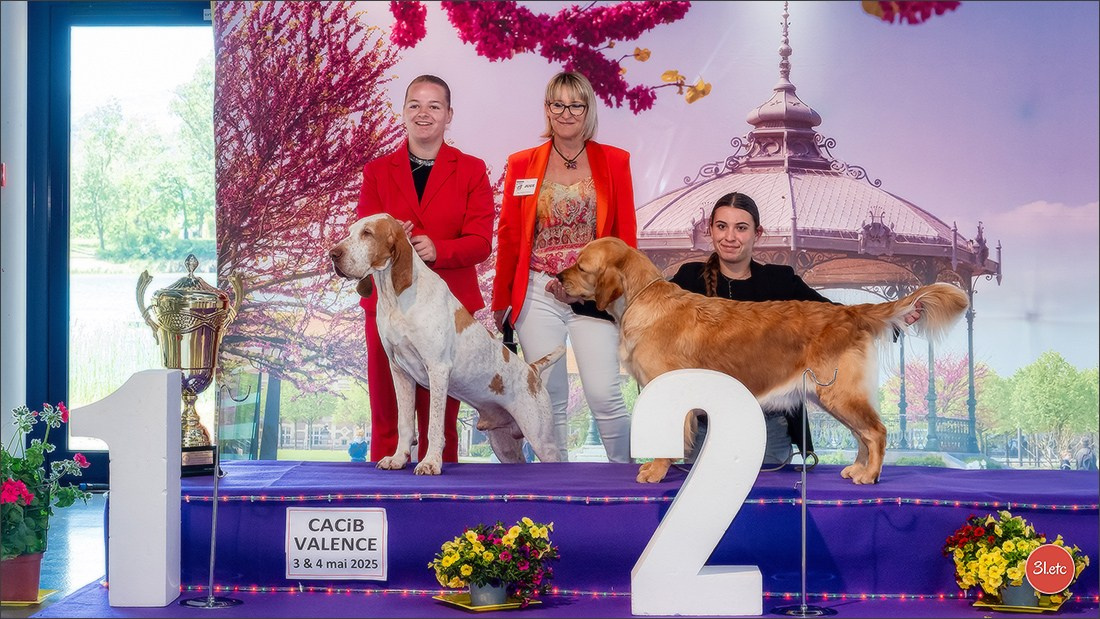 Expo canine 🇫🇷 Valence 03-04/05/2025. Photographe à Strasbourg | Portraits, Studio, Enfants, Événements