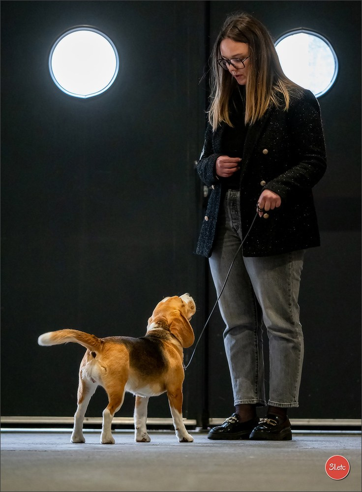 Expo canine 🇫🇷 Angers 22-23/03/2025. Photographe à Strasbourg | Portraits, Studio, Enfants, Événements