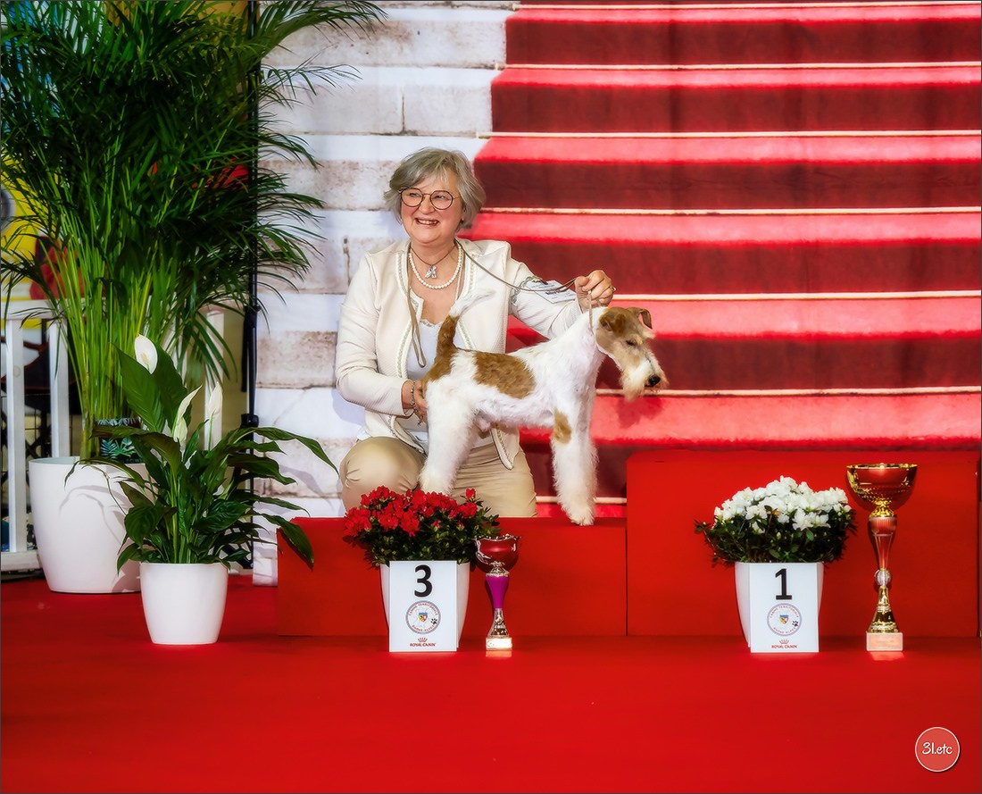 Expositions canines 14 avril 2024 Lyon. Photographe à Strasbourg | Portraits, Studio, Enfants, Événements