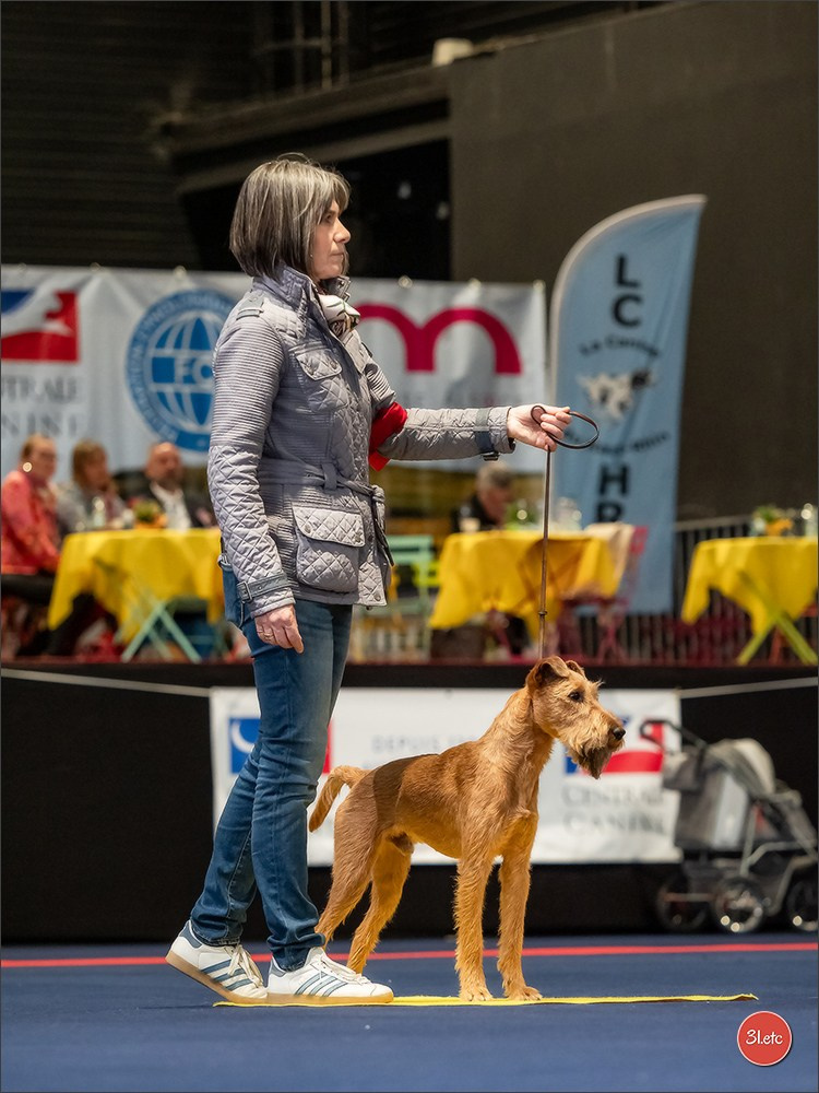 Expo canine   🇫🇷   Mulhouse 5-6/04/2025. Photographe à Strasbourg | Portraits, Studio, Enfants, Événements