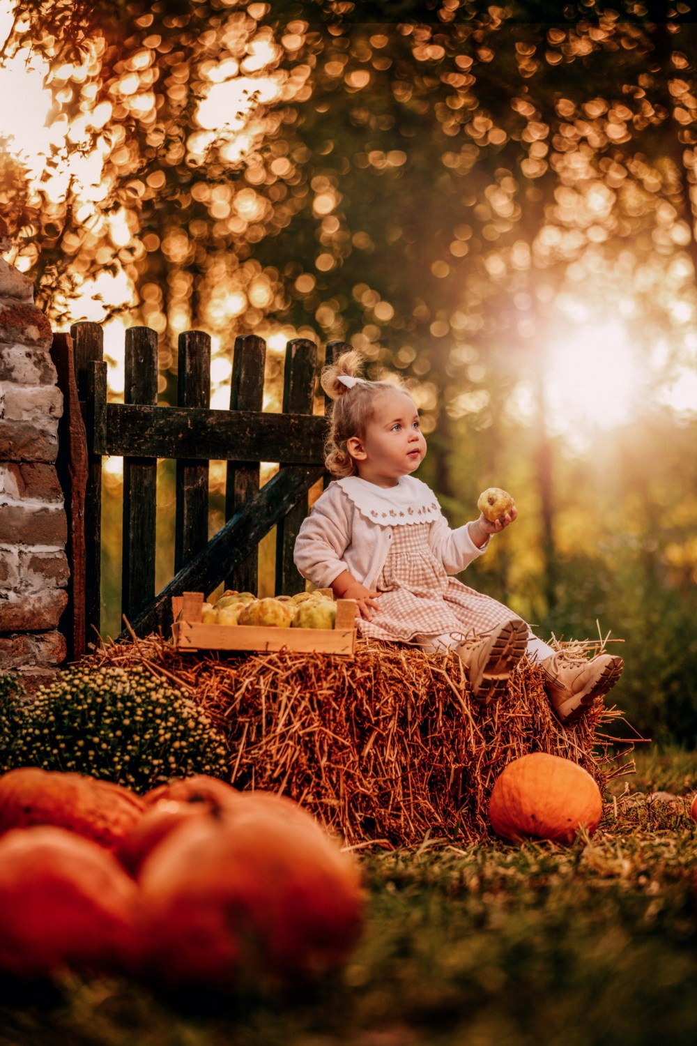JESENJE FOTOGRAFISANJE. Fotografi iz Backog Petrovca David i Andrea Stojanovic