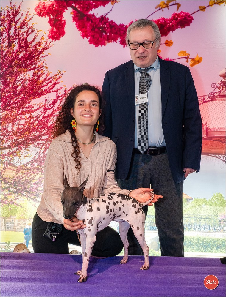 Expo canine 🇫🇷 Valence 03-04/05/2025. Photographe à Strasbourg | Portraits, Studio, Enfants, Événements