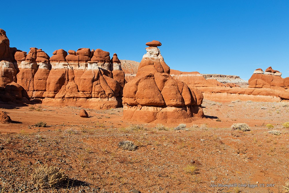 Eagle’s View: The American Southwest. Pet, Senior, Landscape, portrait studio, photographer in Miami and Sou