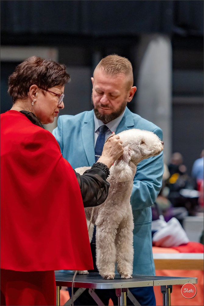 Dog Show Offenbourg  🇩🇪  14-15/03/2026. Photographe à Strasbourg | Portraits, Studio, Enfants, Événements