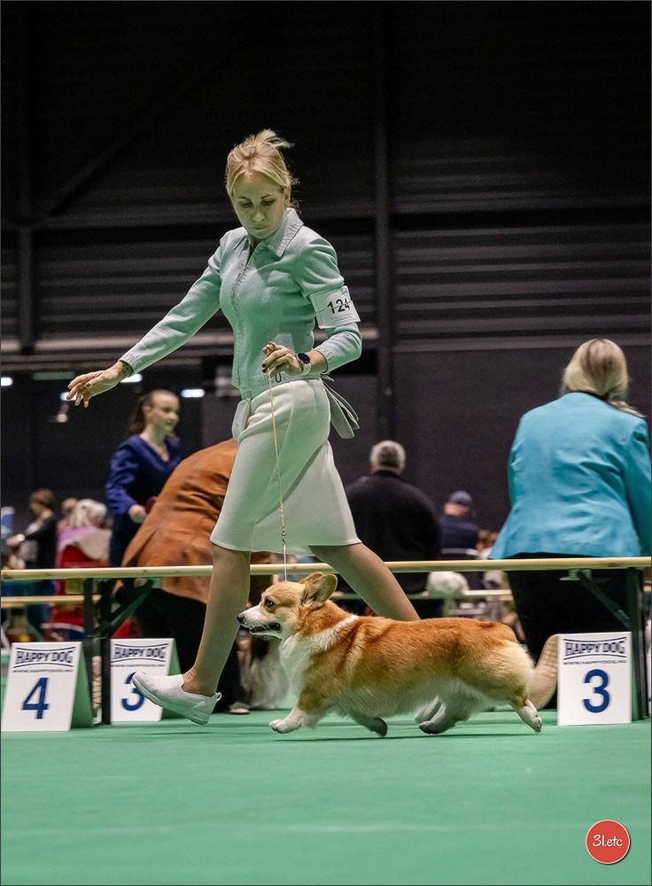 🇳🇱 IDS Maastricht 27/28 Sept 2025 🇳🇱. Photographe à Strasbourg | Portraits, Studio, Enfants, Événements