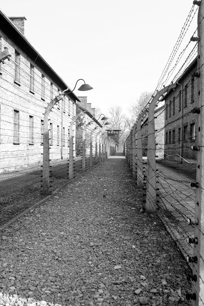 Auschwitz — Birkenau, Polonia. Pagina principală