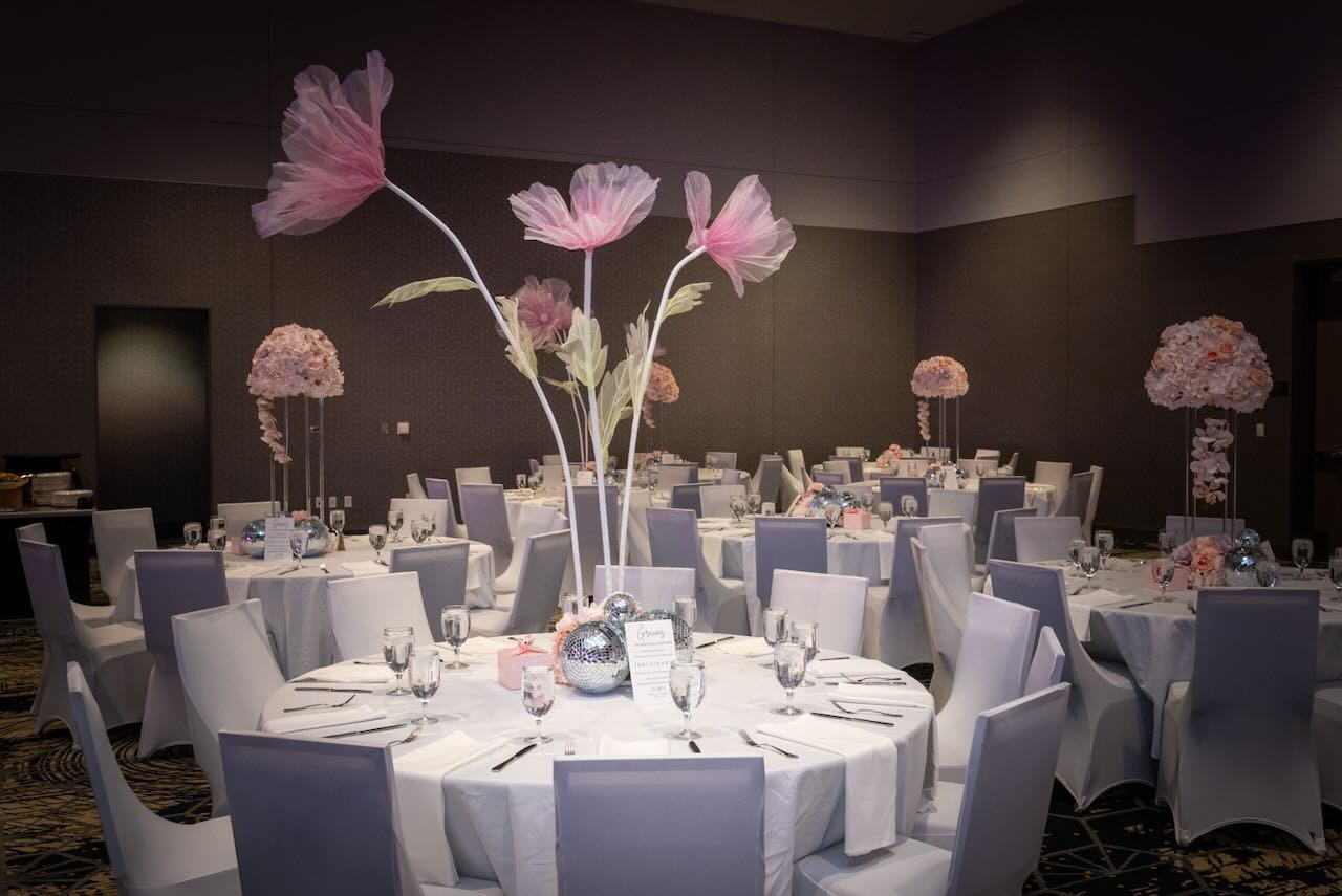 Colección: Camila Mis XV años