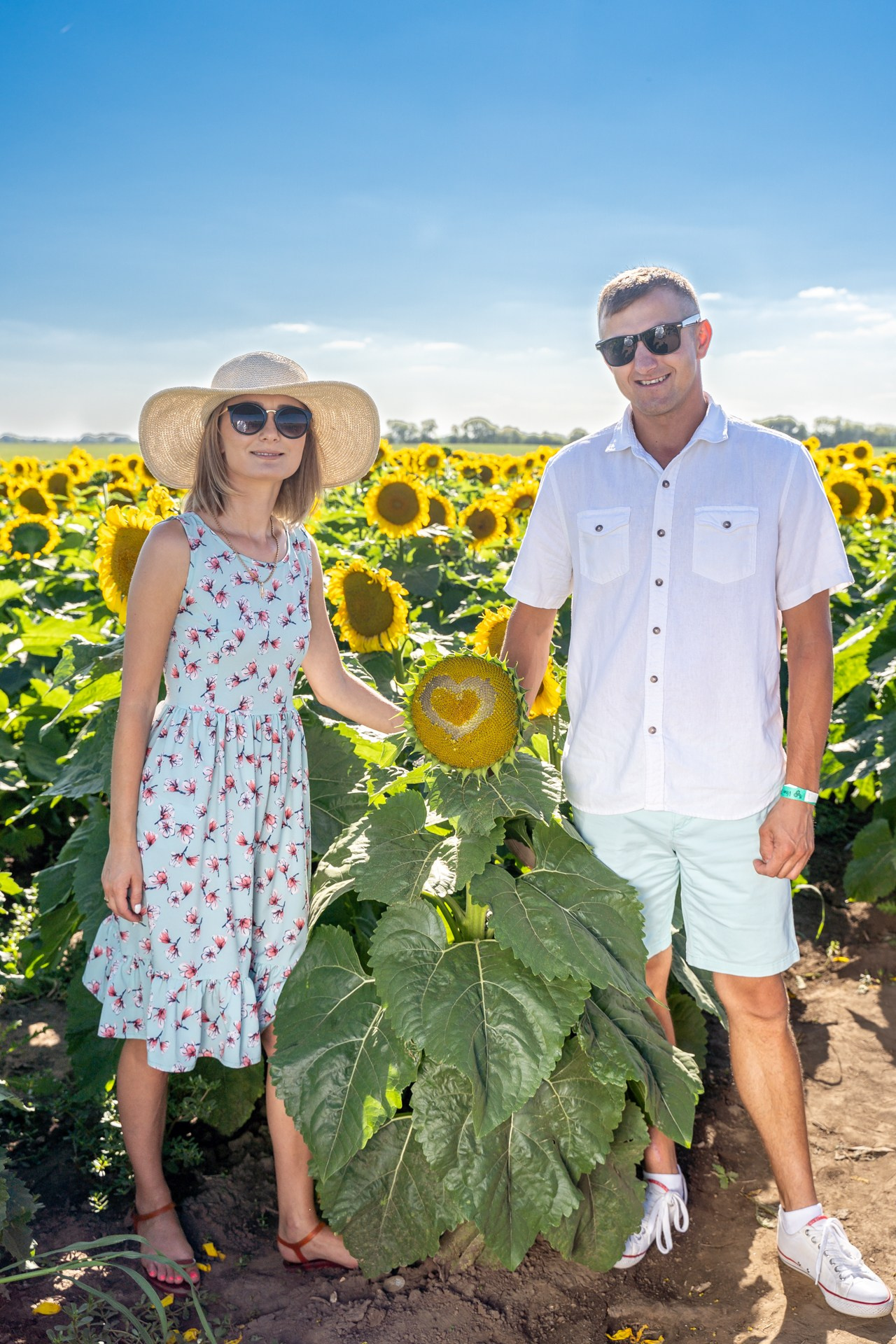 Sunflowers. ARTIGO Igor Rudyi Art Photography