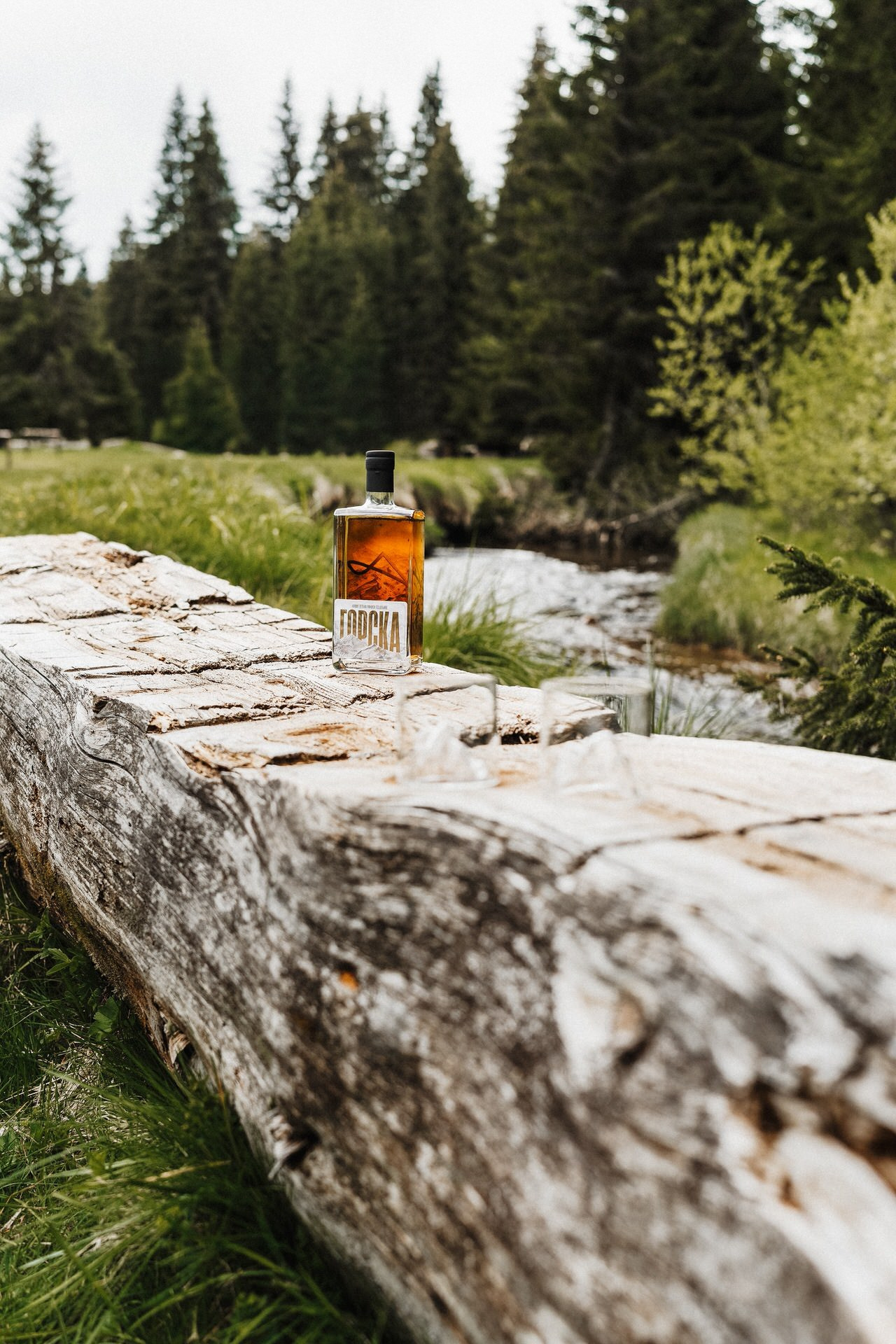 rakija gorska sa dve čaše, postavljena na oboreno šumsko deblo na Kopaoniku