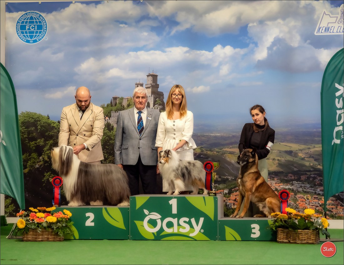 Dog Show  🇮🇹  San Marino. Photographe à Strasbourg | Portraits, Studio, Enfants, Événements
