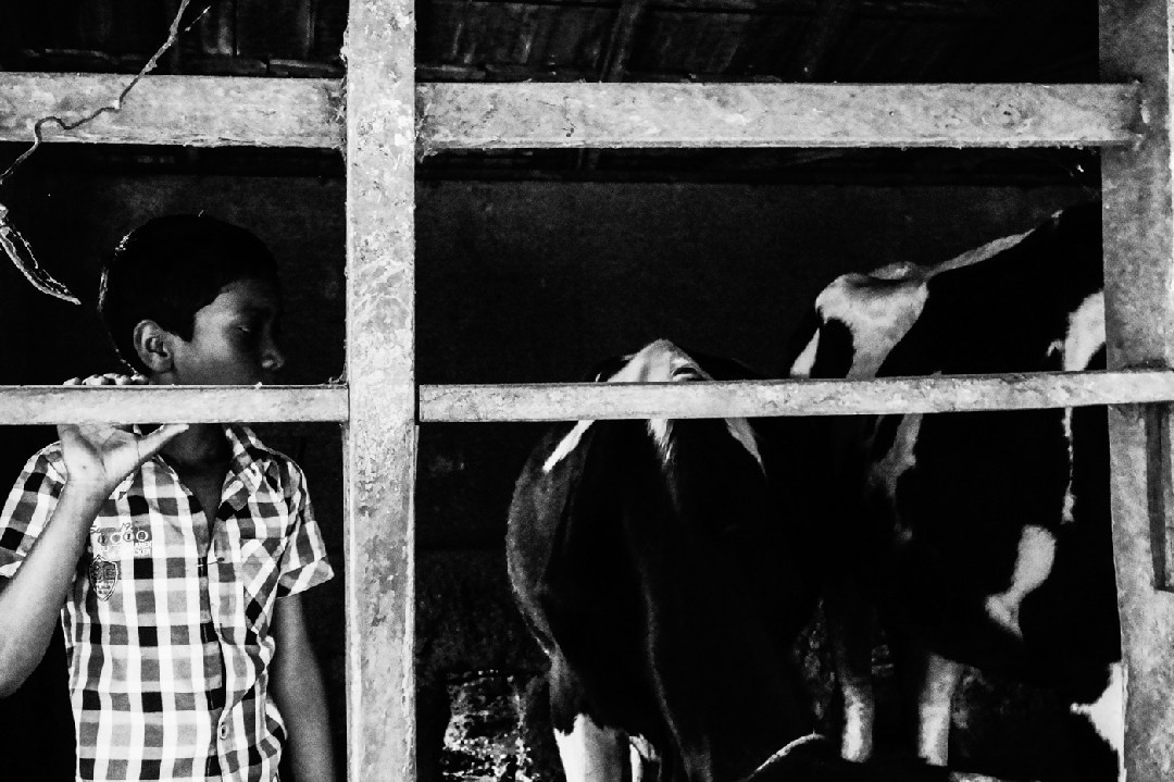 Its a passion to photograph the beauty of life itself. Murat Bostan Photography Documentary, Event and Portrait