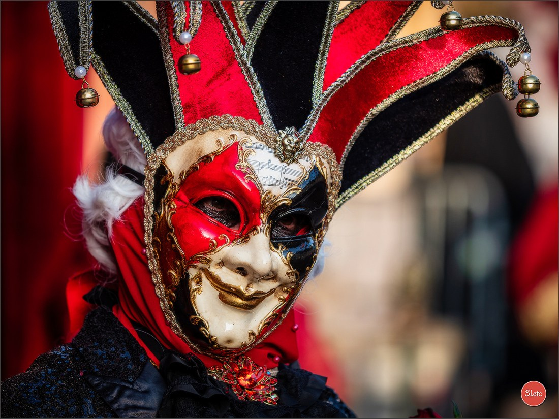 Carnaval vénitien de Rosheim 2026. Photographe à Strasbourg | Portraits, Studio, Enfants, Événements