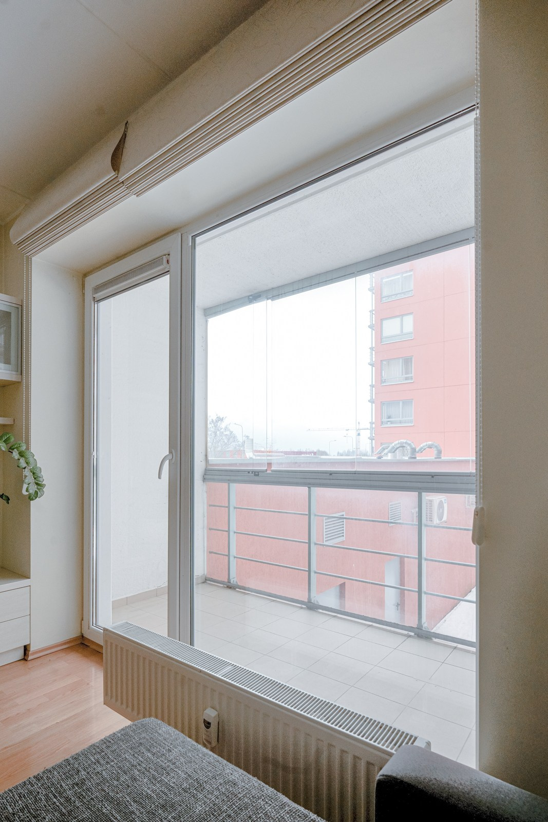 Povilionio. Elina Sapiega fotografė Vilniuje