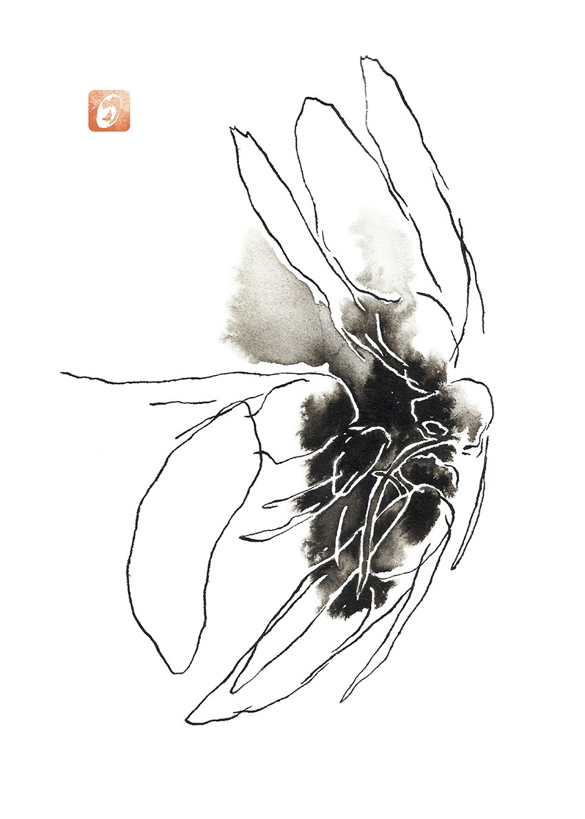 Iliustration for book by Wawrzyniec Jan Dąbrowski “Alchemia Czarnych Lodowców”. Artist, photographer, graphic designer, dreamer