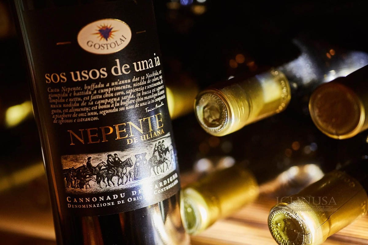 Brand Photography for Small Business