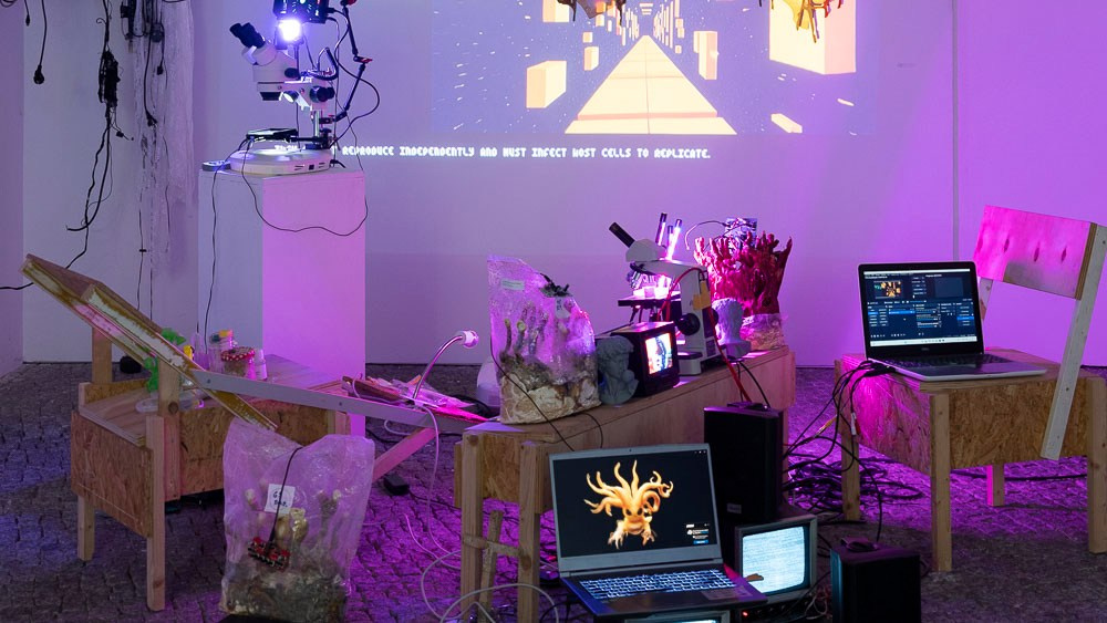 Kagurumi. Photographer Viktor Nikishov