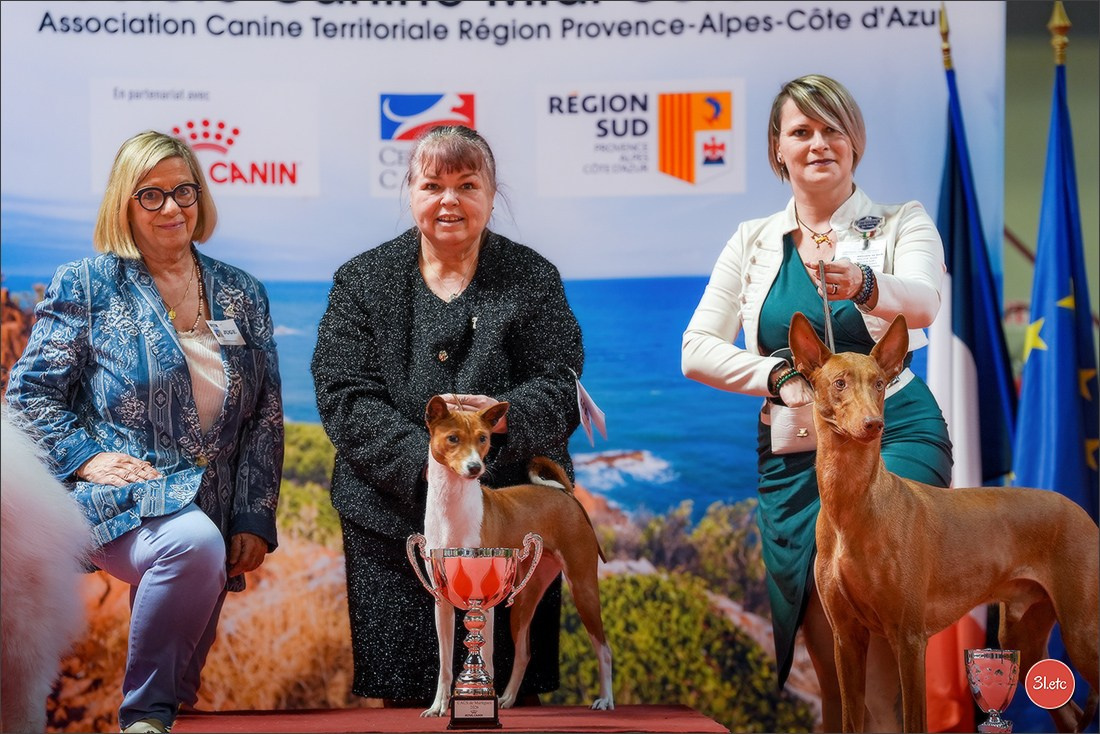 Expo canine 🇫🇷 Martigues 18-19/04/2026