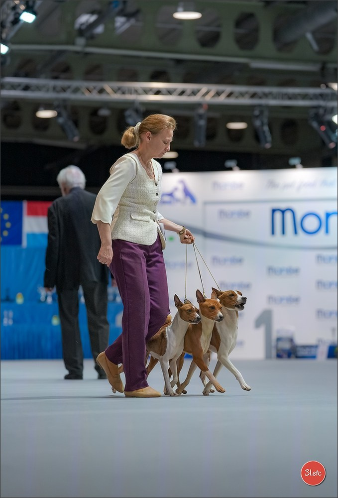 🇱🇺 LUXEMBOURG 🇱🇺 International Dog Show 4-5/04/2026. Photographe à Strasbourg | Portraits, Studio, Enfants, Événements
