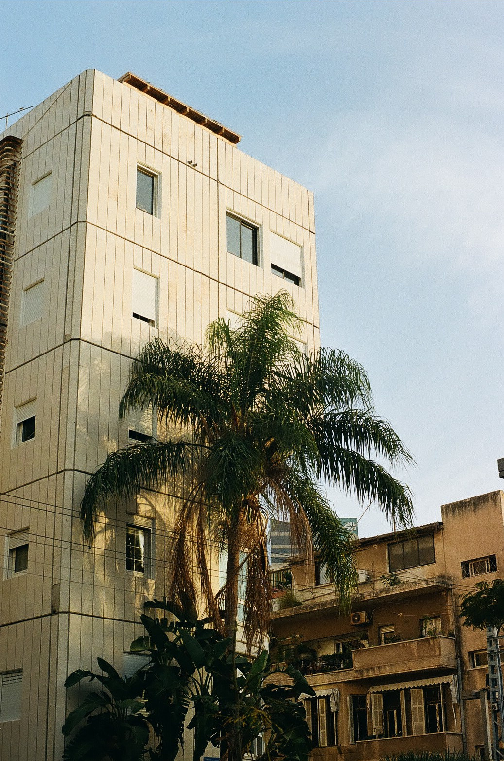 Ксюша. Film portrait photographer