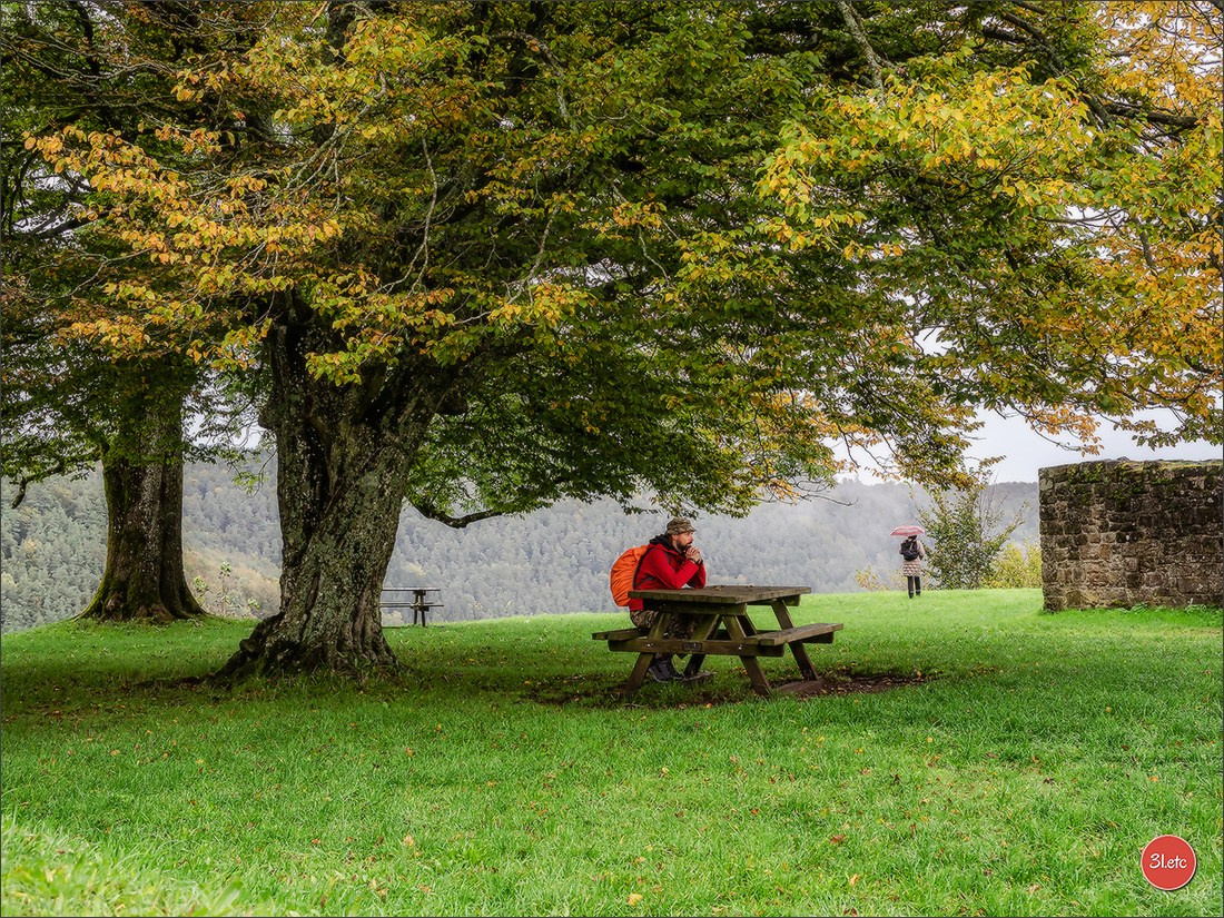 Ретрит в Эльзасе с Марией Ланг. Photographe à Strasbourg | Portraits, Studio, Enfants, Événements