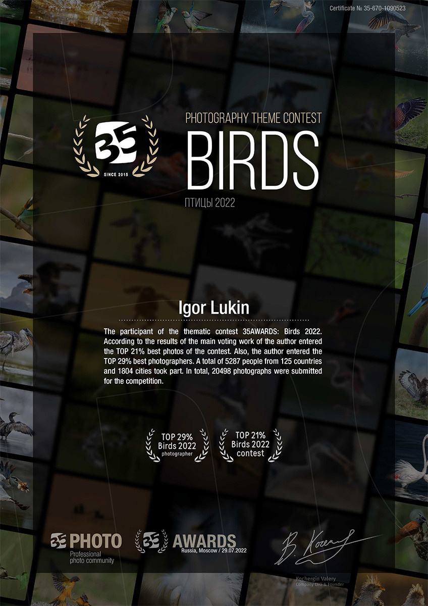 35 AWARDS 2022 VÖDEL. LUKIN IGOR Photography