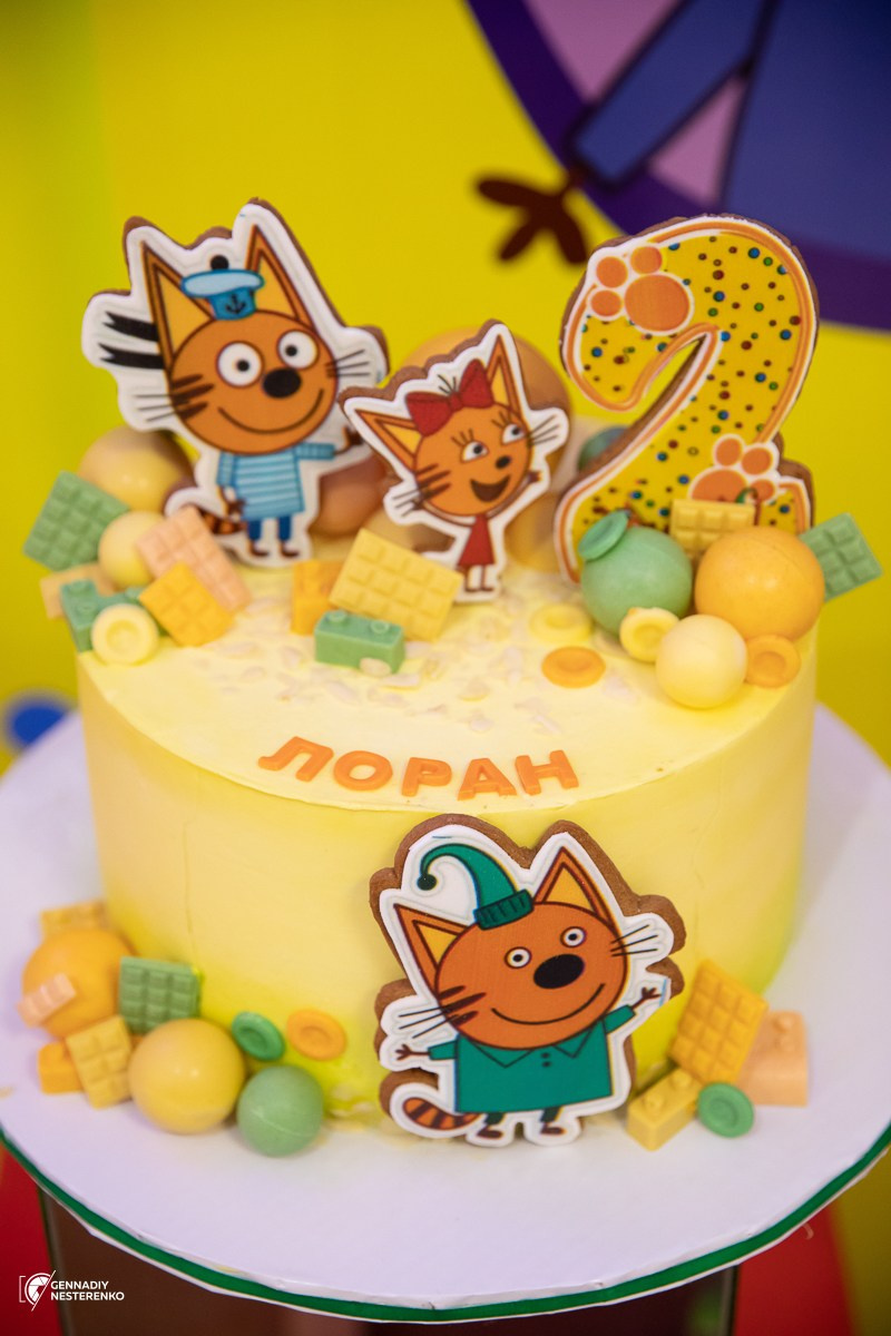 ДР Ларена. Профессиональная Фото-Видео Студия Геннадия Нестеренко | Ташкент и Весь Узбекистан