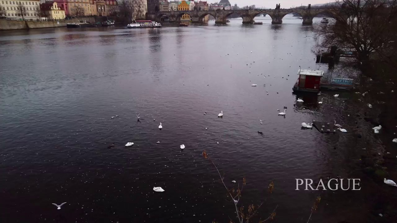 FILMS. Anton Hard — Nude Art Photography