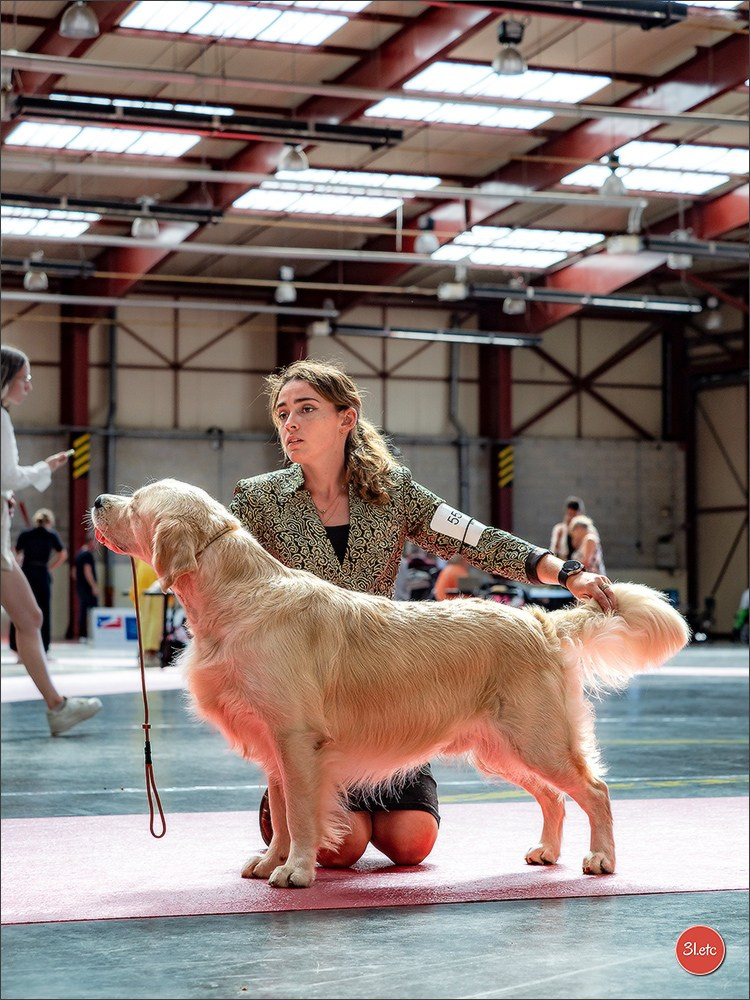 Expo canine 🇫🇷 MARGNY LES COMPIEGNE 06-07/09/2025. Photographe à Strasbourg | Portraits, Studio, Enfants, Événements