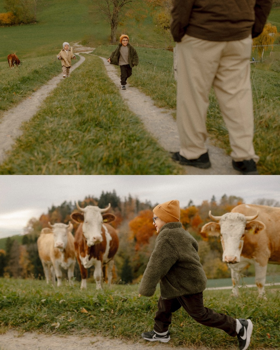 Boys, Cows, Autumn. Polina Sobol — family & documentary photographer in Bern. Outdoor & urban photo sessions for families, kids and couples