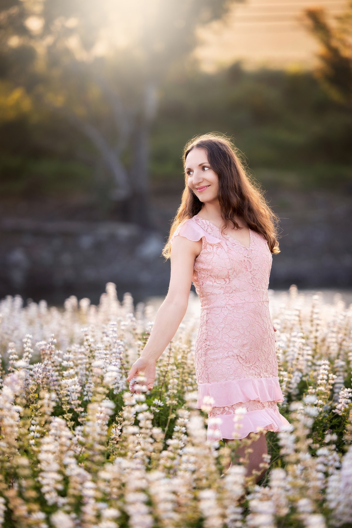 Lupines Story. Photographer is San Jose, Iryna Novosyolova