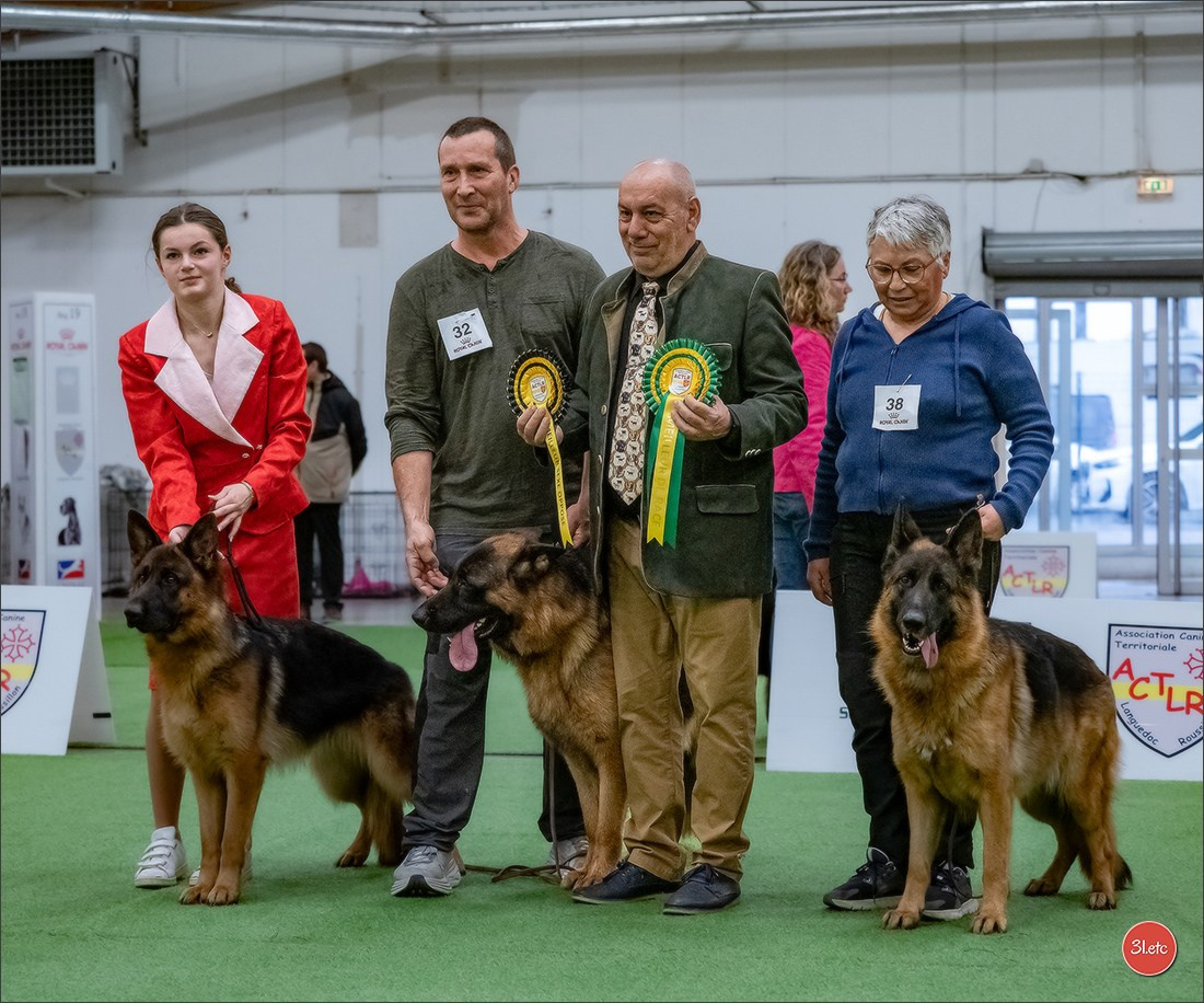 🇫🇷  Perpignan Dog Show  🇫🇷  Expo canine  17-18/01/2026. Photographe à Strasbourg | Portraits, Studio, Enfants, Événements