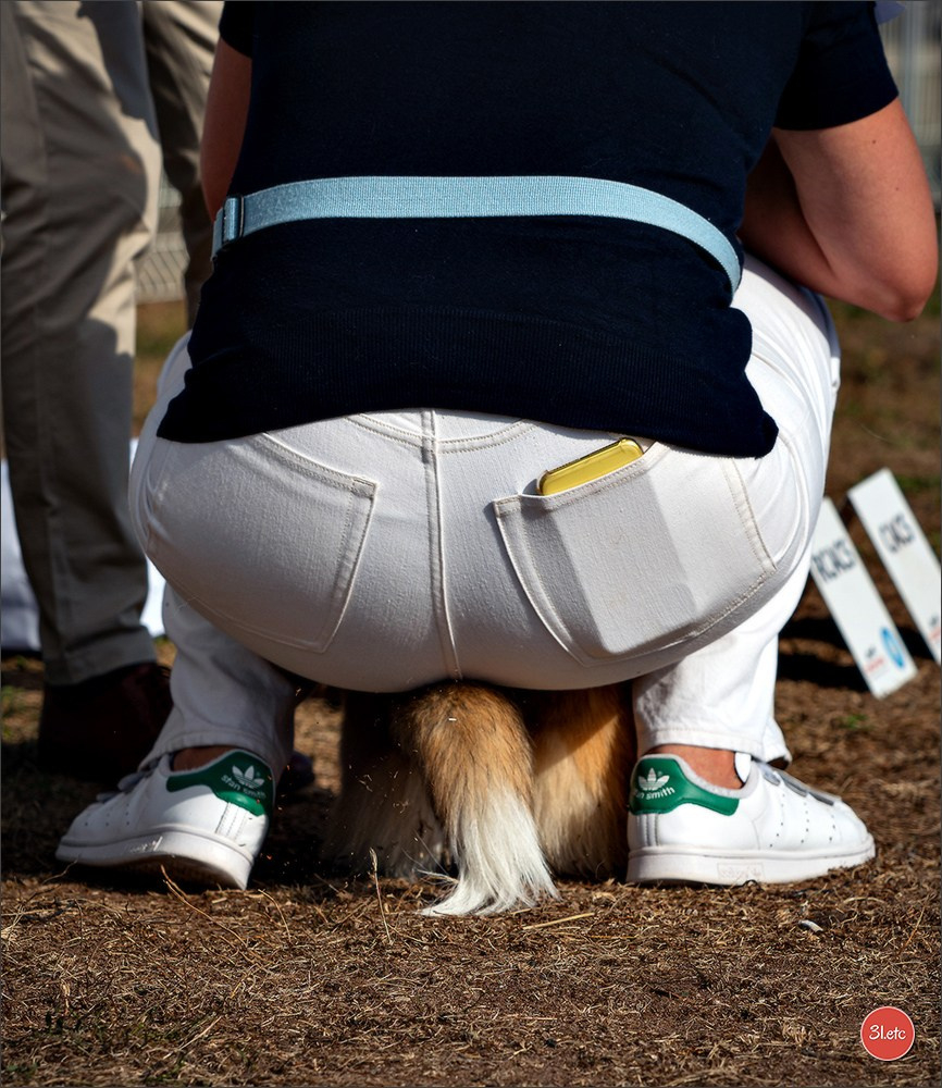 Photographie animalière. Photographe à Strasbourg | Portraits, Studio, Enfants, Événements