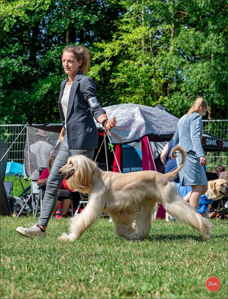 Dog Show Hallbergmoos  🇩🇪  11-13/07/2025. Photographe à Strasbourg | Portraits, Studio, Enfants, Événements