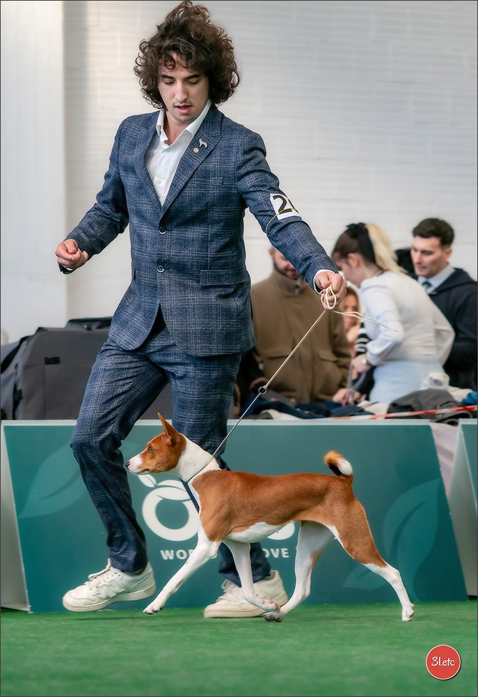 Dog Show  🇮🇹  San Marino. Photographe à Strasbourg | Portraits, Studio, Enfants, Événements