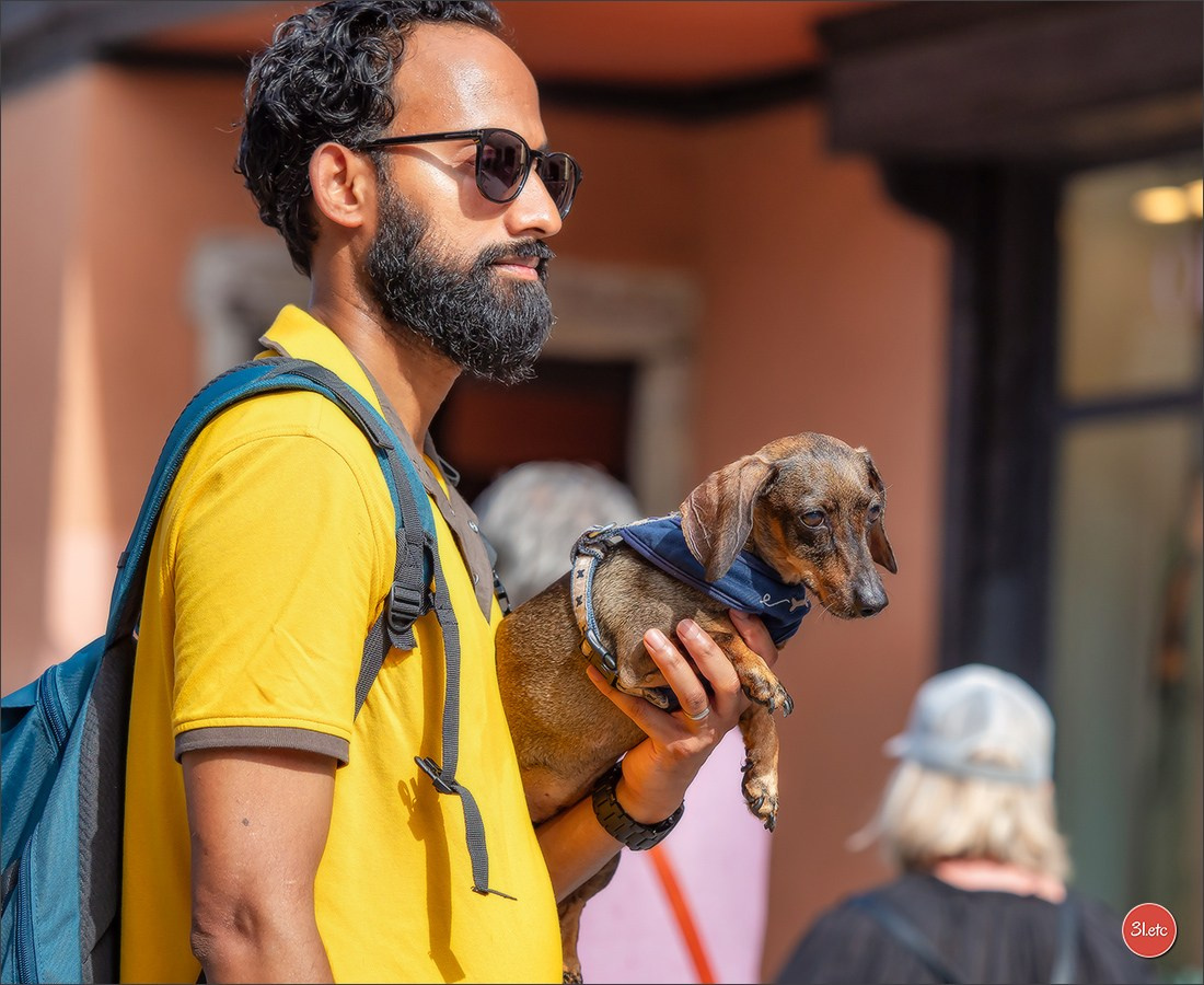 Teckels Parade Strasbourgeoise  Vous pouvez voir le galerie de photos. Photographe à Strasbourg | Portraits, Studio, Enfants, Événements